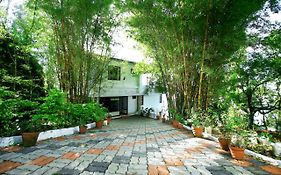 Green Magic Home